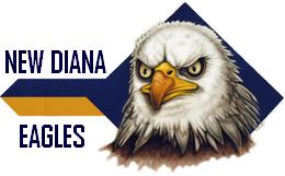 New Diana Middle School Logo
